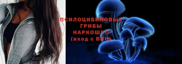 амф Алексеевка