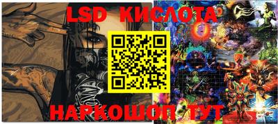 спиды Донской