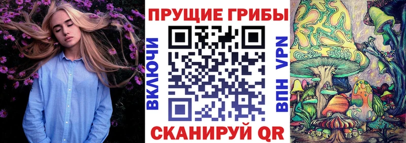 где найти   Лесной  Псилоцибиновые грибы Cubensis 