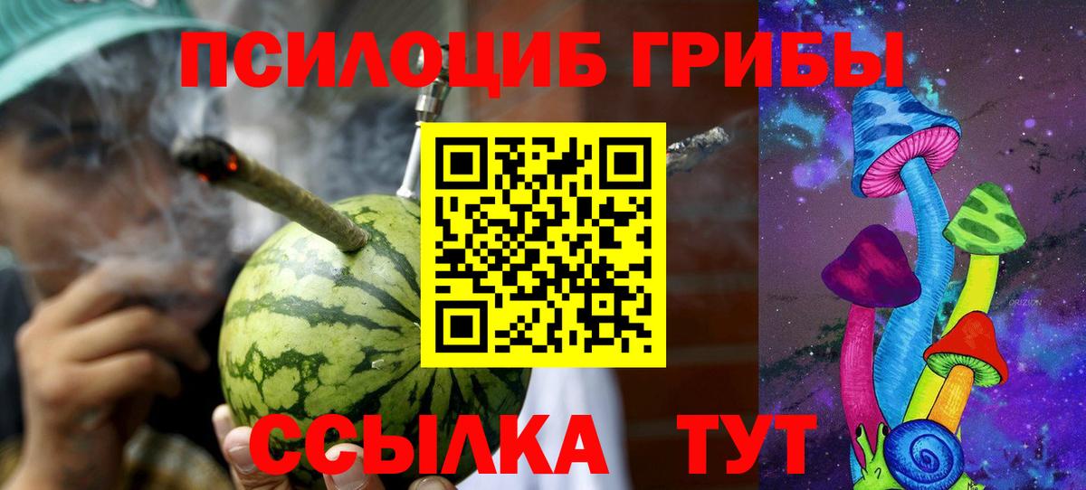 Псилоцибиновые грибы Psilocybe Лесной