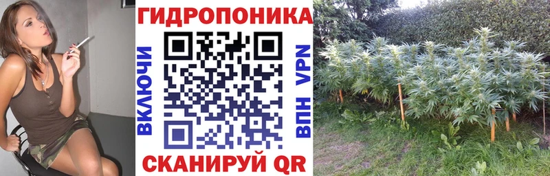 Канабис SATIVA & INDICA  kraken онион  Лесной  что такое наркотик 